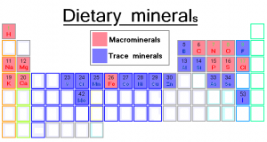 Periodic_table_of_the_chemical_elements_(1-118)Dietary_minerals